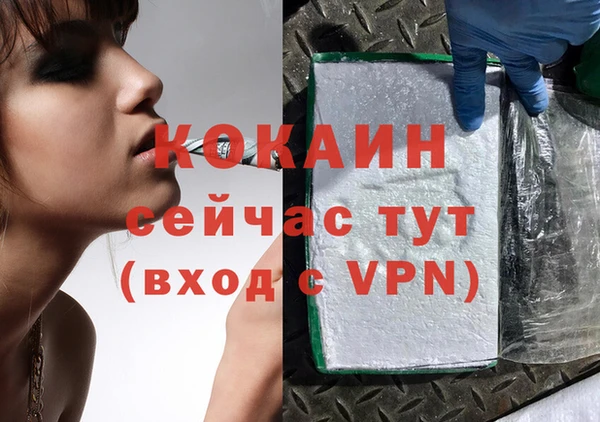 трава Наволоки