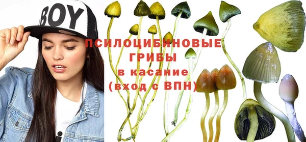 прущий лед Алапаевск