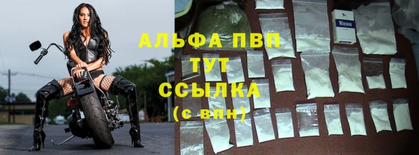 трава Наволоки