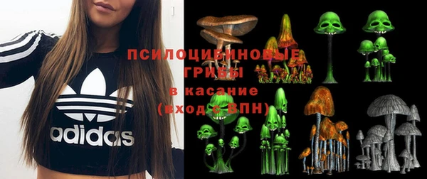 трава Наволоки