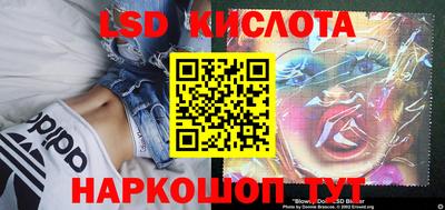 PSILOCYBIN Ирбит