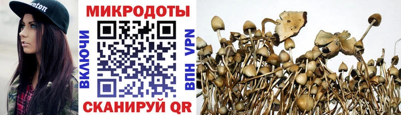 Галлюциногенные грибы Psilocybine cubensis  что такое   Нефтеюганск 