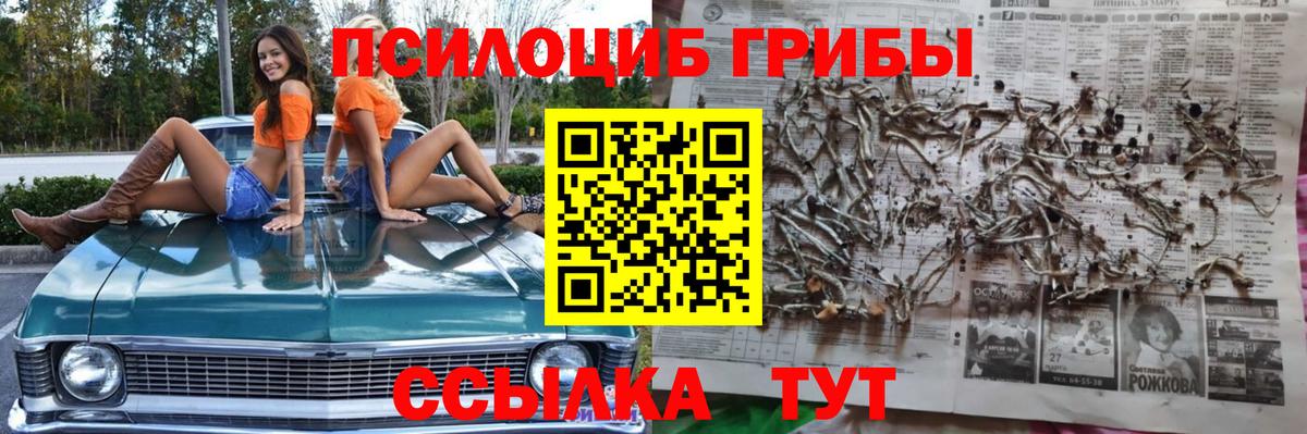 Псилоцибиновые грибы Psilocybine cubensis Нефтеюганск