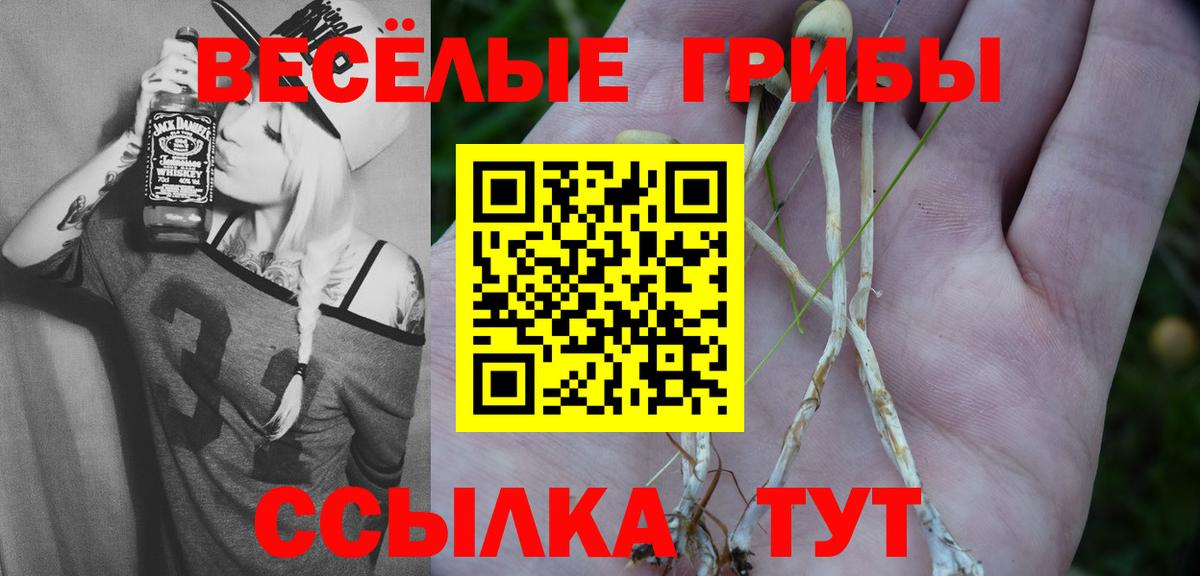 Нефтеюганск  закладки  Вход с VPN  Псилоцибиновые грибы Psilocybe 